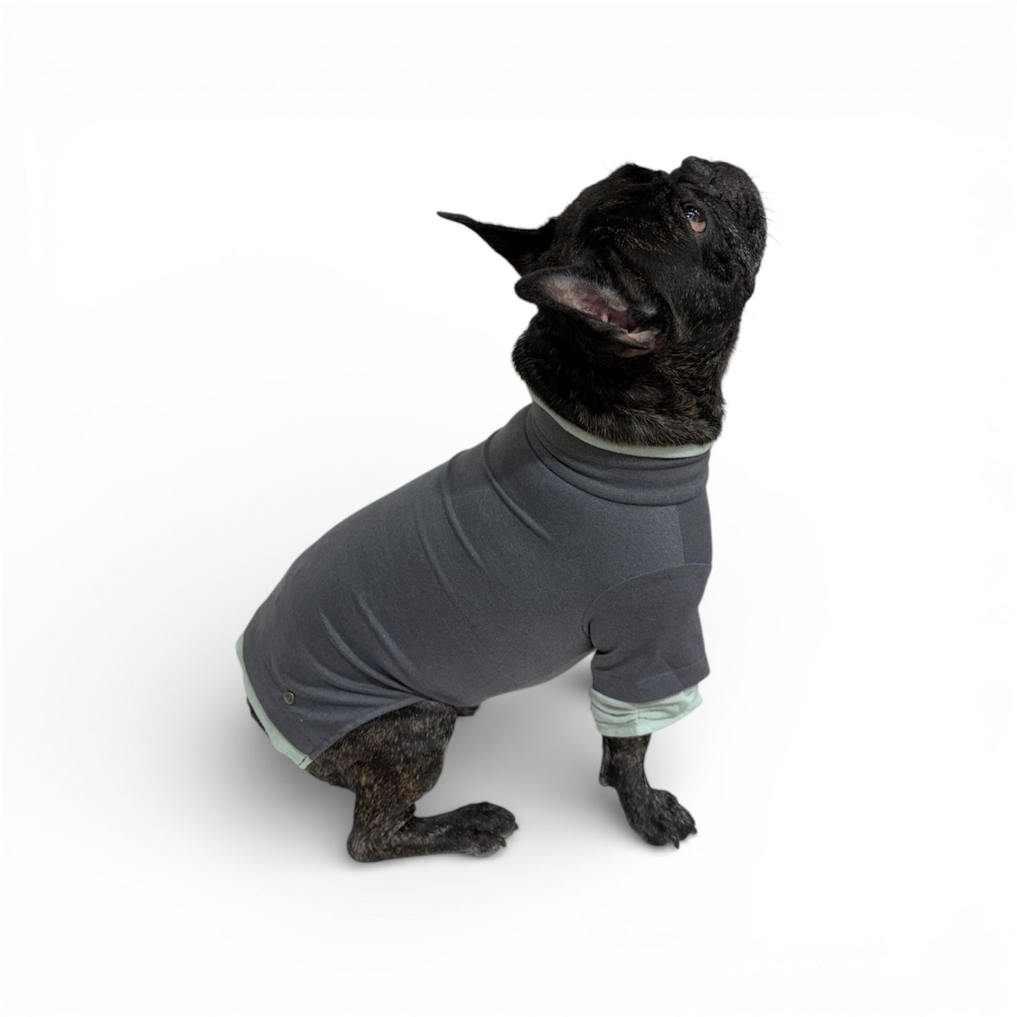 Poochskins Layered Thermal Shirt
