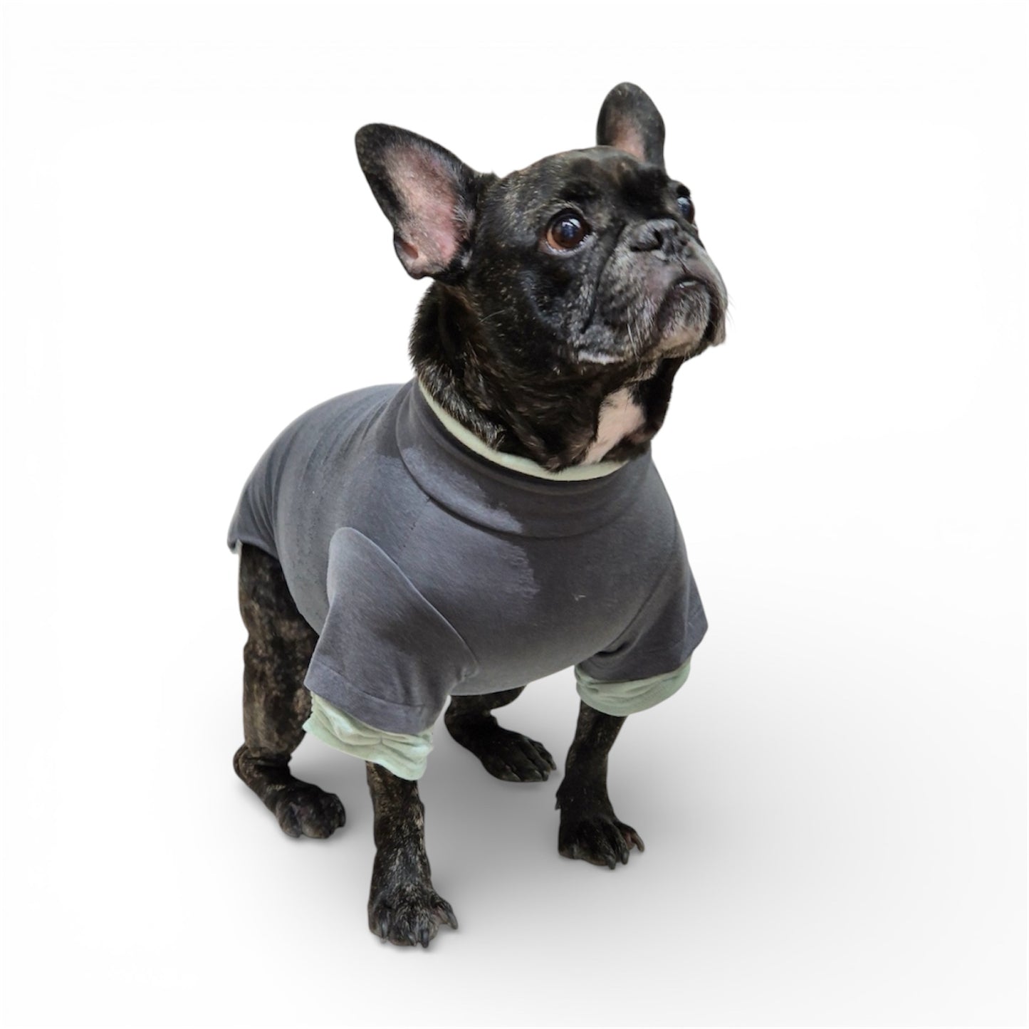 Poochskins Layered Thermal Shirt