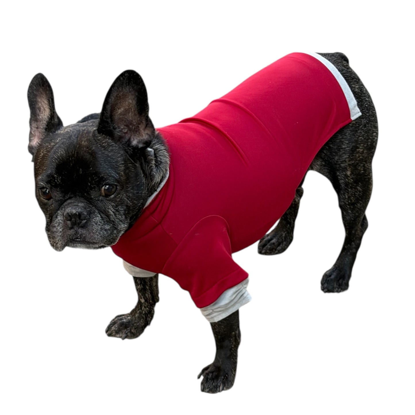 Poochskins Layered Thermal Shirt