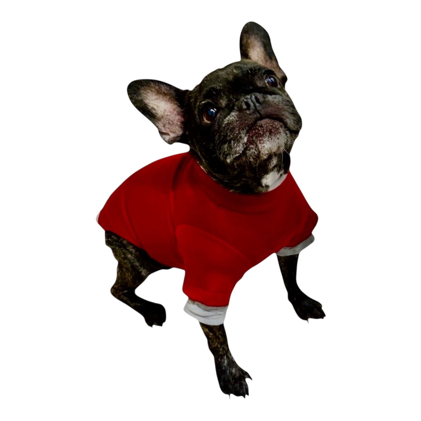 Poochskins Layered Thermal Shirt